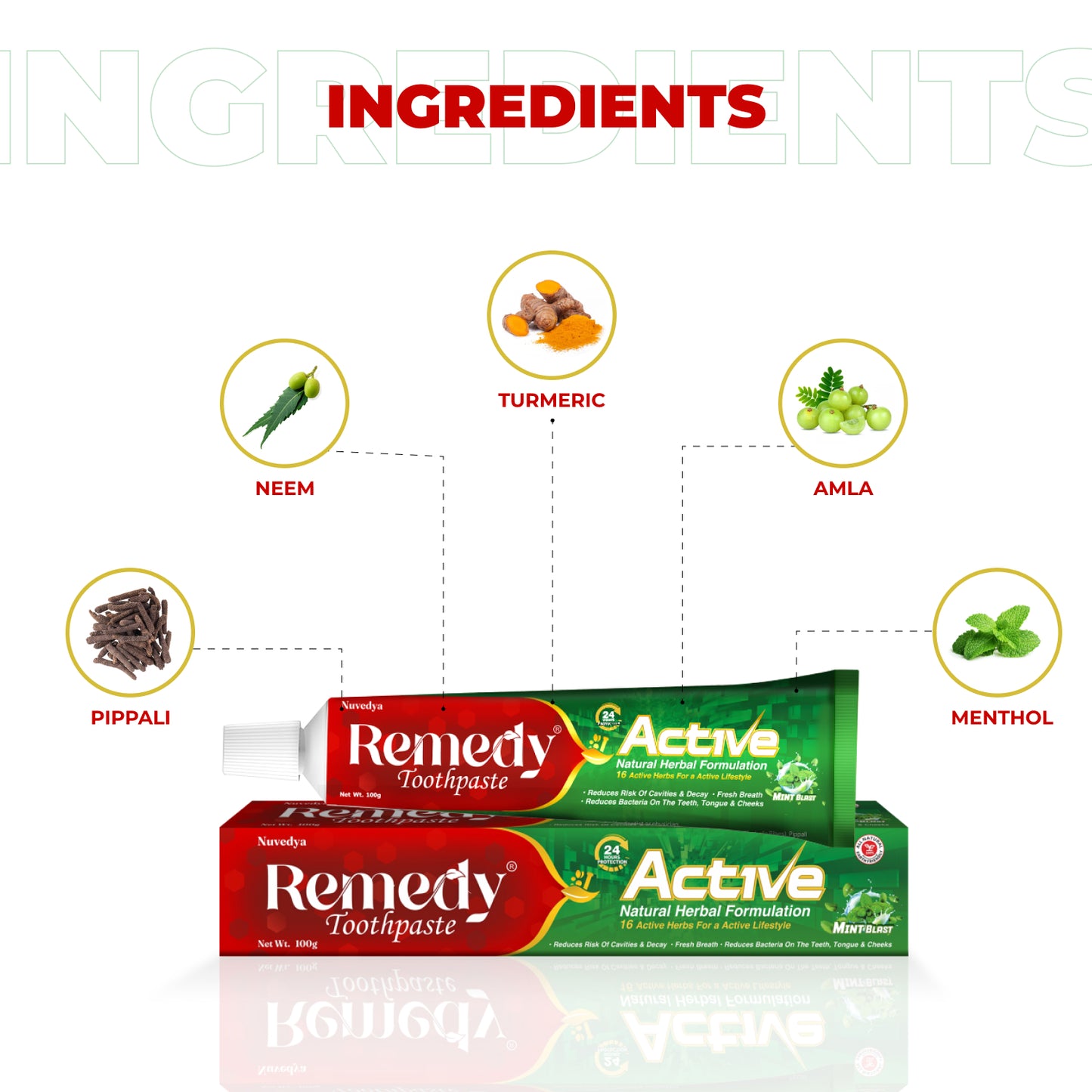 Remedy Toothpaste Active Mint Blast Flavor 100 gm